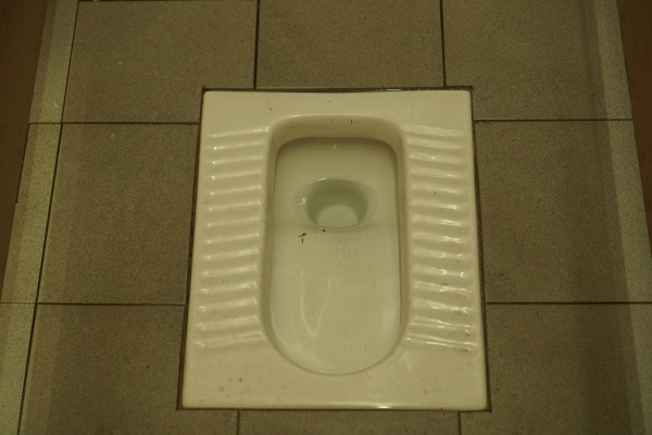 Floor Toilet in Tung Chung