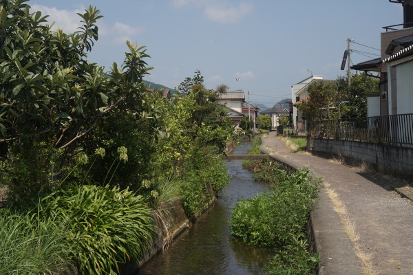 Fuji Neighborhood Canal